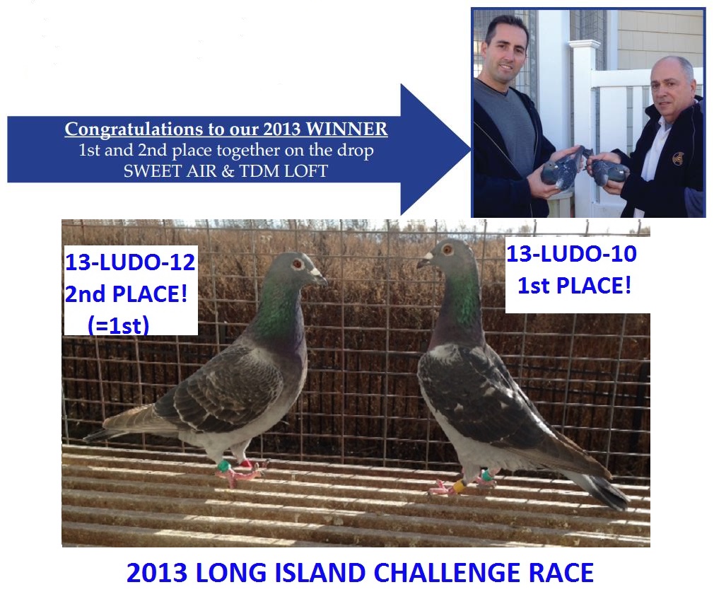 2013 Winner Photo