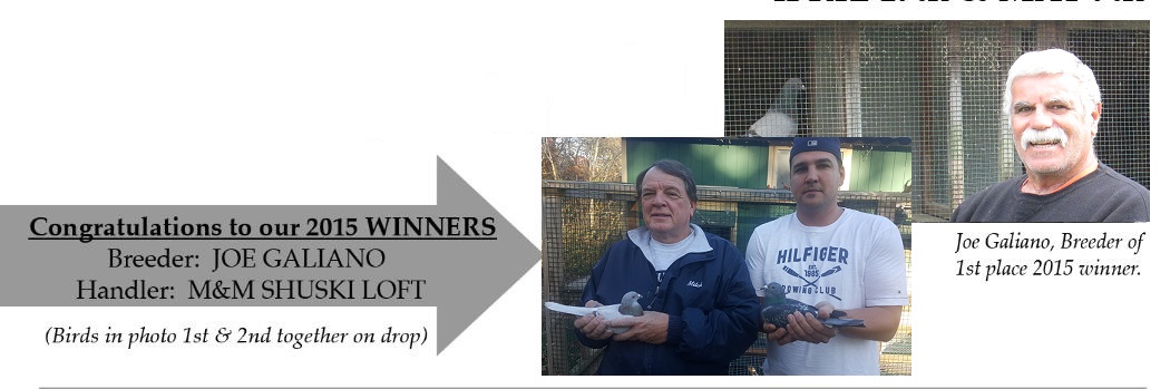 2015 Winner Photo