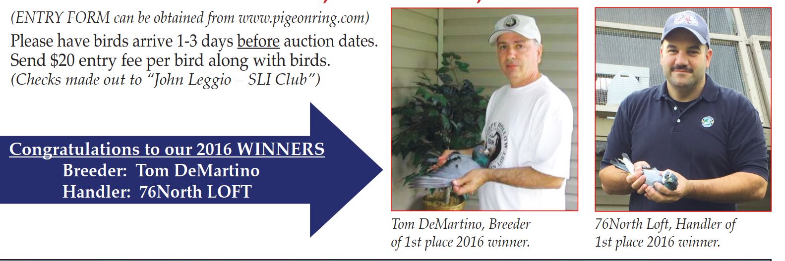 2016 Winner Photo