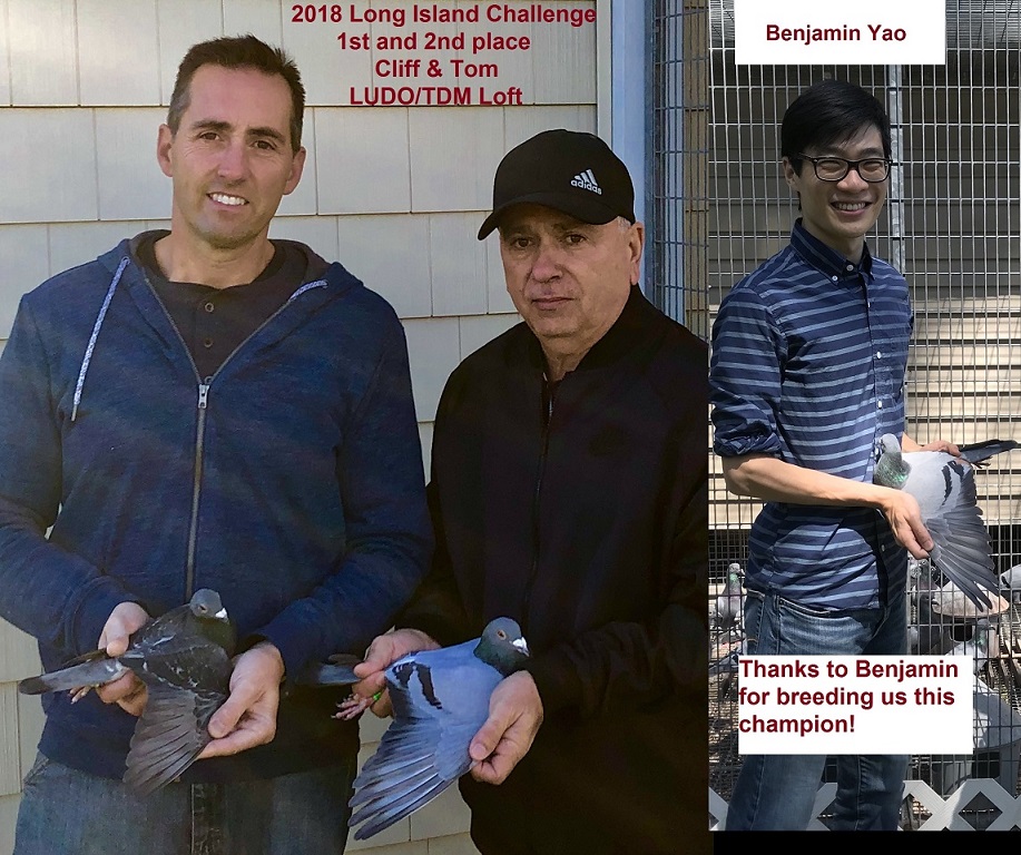 2018 Winner Photo