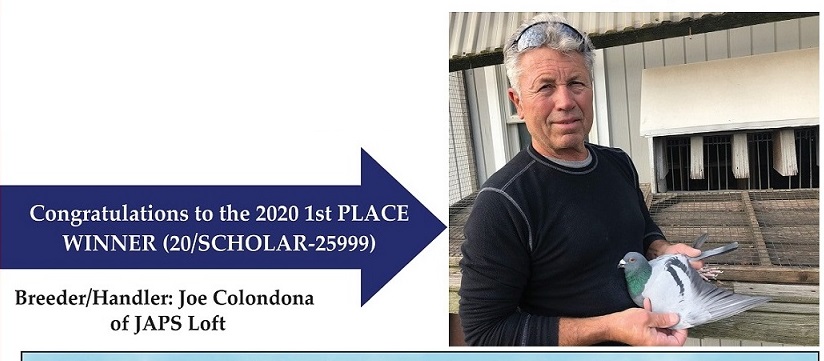2020 Winner Photo